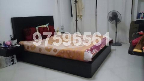 Blk 204 Tampines Street 21 (Tampines), HDB 3 Rooms #102754282